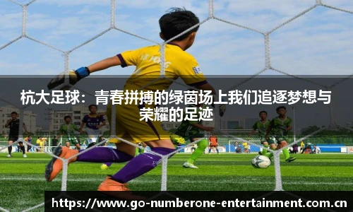 杭大足球：青春拼搏的绿茵场上我们追逐梦想与荣耀的足迹